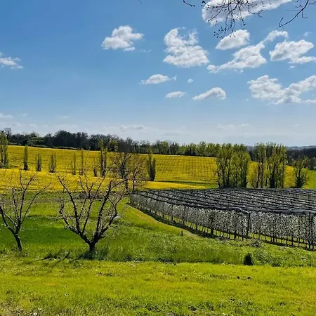 Villa La Truffe Rose Molières