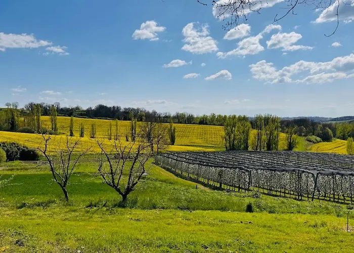 Villa La Truffe Rose Molières